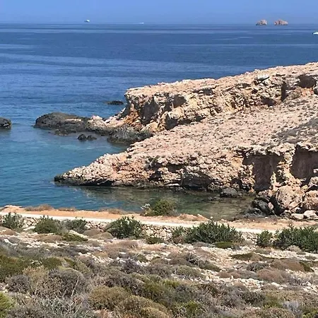 Dejablue * Parasporos